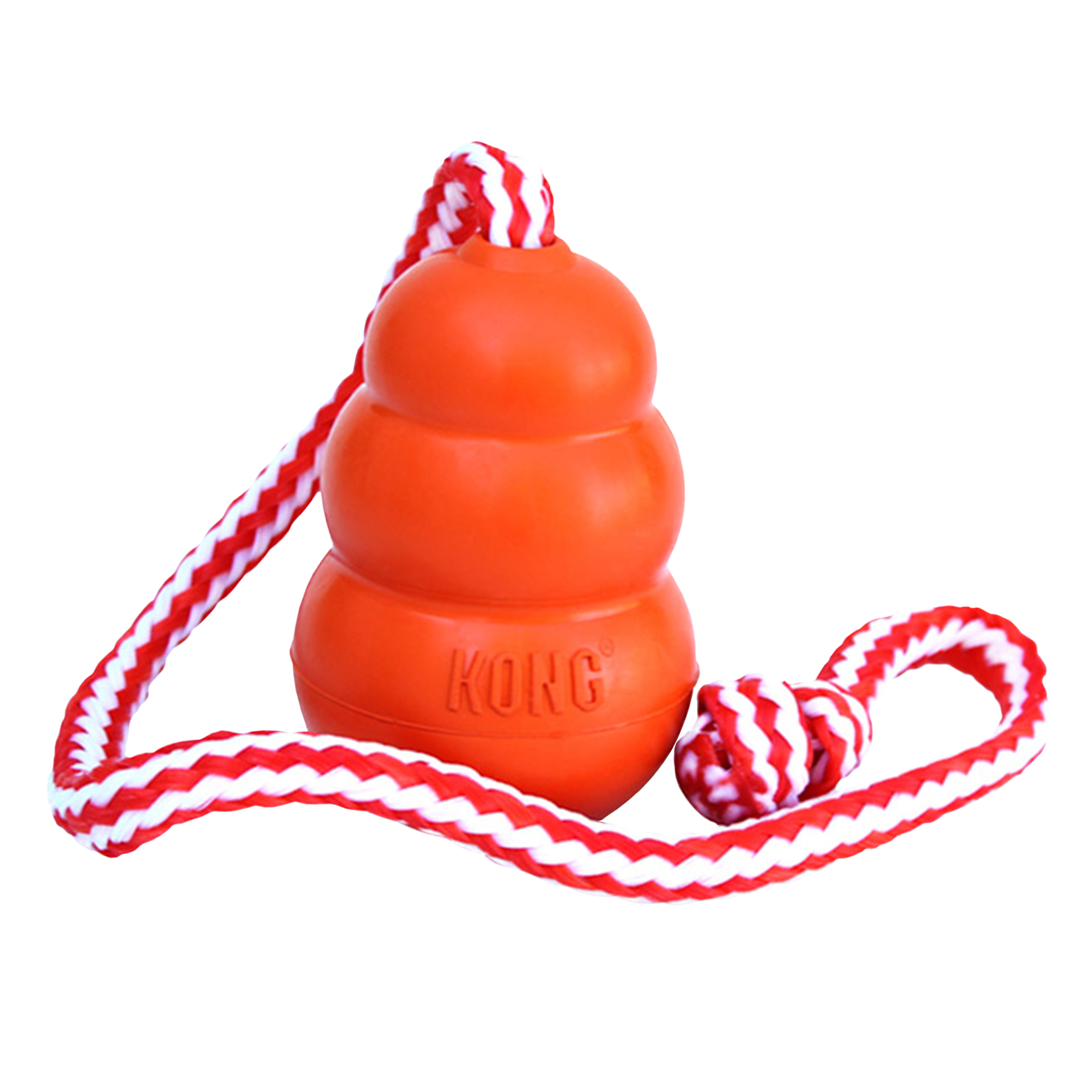 Jouet chien flottant Kong Aqua avec corde M / L