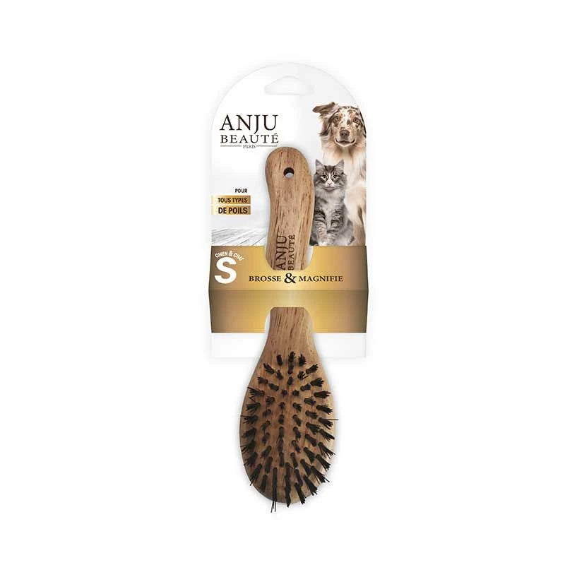Brosse douce petite taille chien et chat Anju