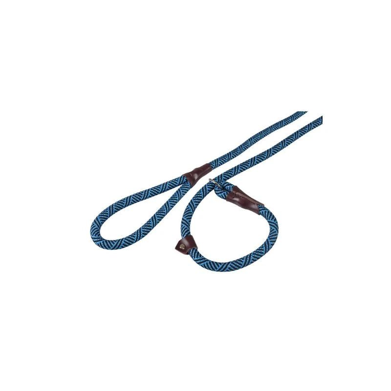 Laisse étrangleur Alps chien 165cm 12mm Flamingo