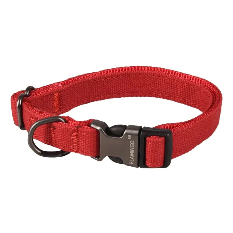 Collier Oxana chien