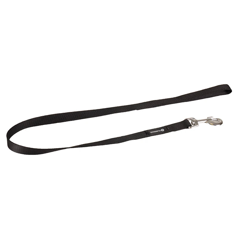 Laisse ASP chien 100cm