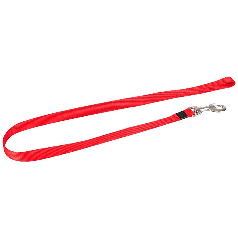 Laisse ASP chien 100cm