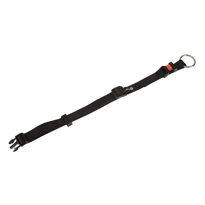 Collier ASP chien