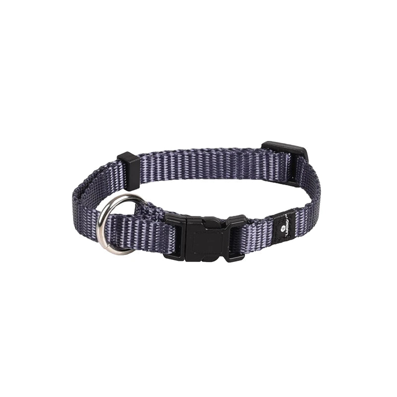 Collier ASP chien