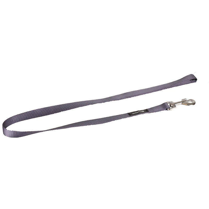 Laisse ASP chien 100cm
