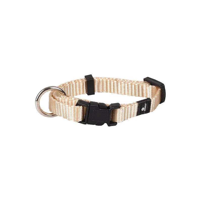 Collier ASP chien