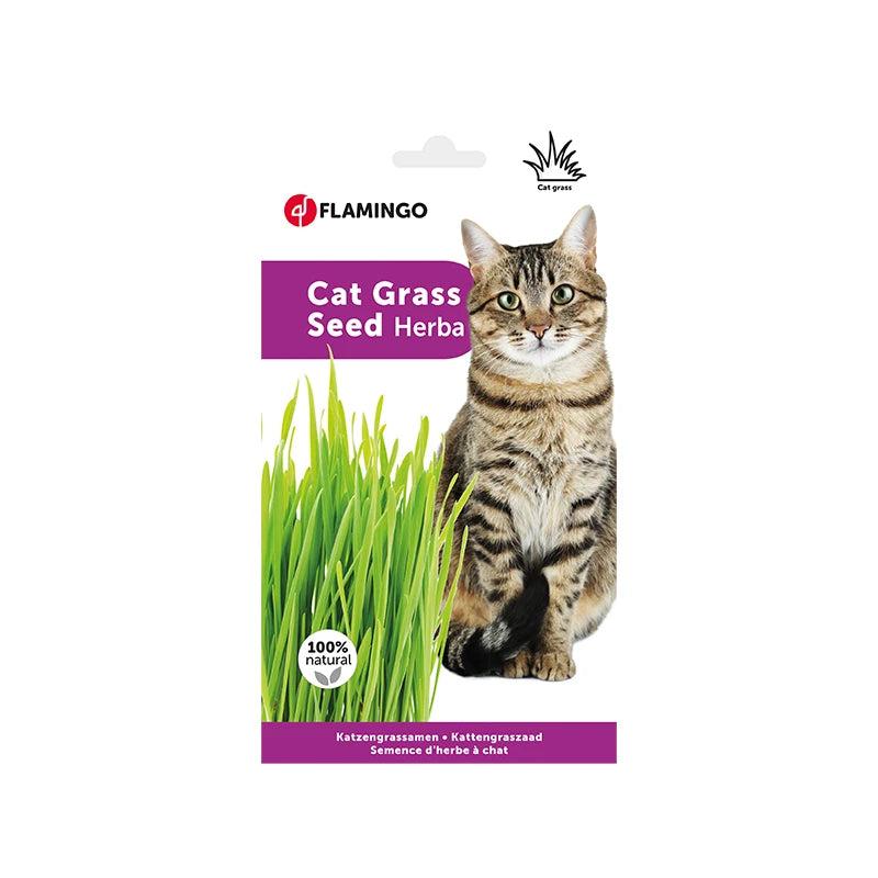 Herbe à chat friandise digestive Flamingo