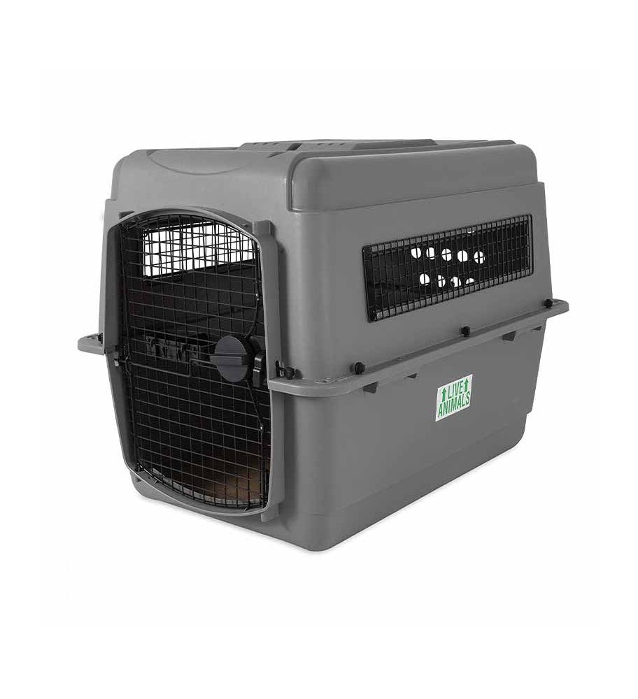 Caisse de transport – Petmate – Vari Sky Kennel – Chien & Chat